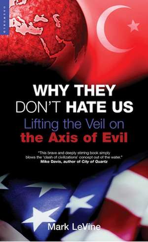 Why They Don't Hate Us: Lifting the Veil on the Axis of Evil de Mark Levine