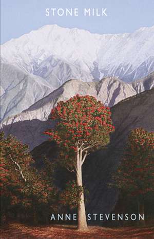 Stevenson, A: Stone Milk