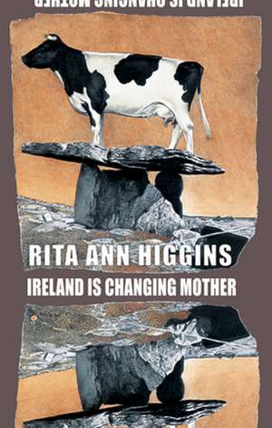 Ireland Is Changing Mother de Rita Ann Higgins