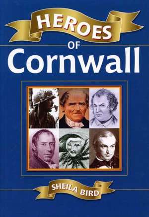 Heroes of Cornwall de Sheila Bird