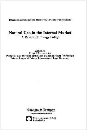 Natural Gas in the Internal Market:A Review of Energy Policy de Ernst Mestmacker