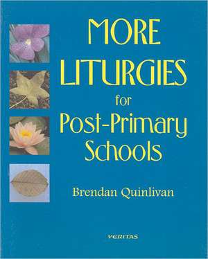 More Liturgies for Post-Primary Schools de Brendan Quinlivan