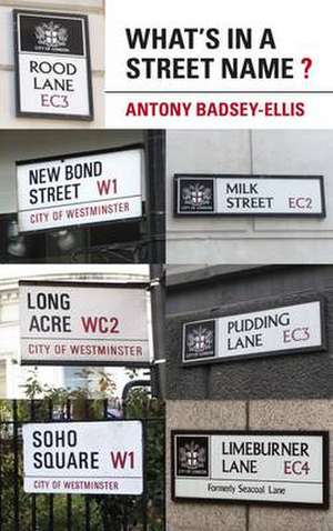 What's in a Street Name? de Antony Badsey-Ellis