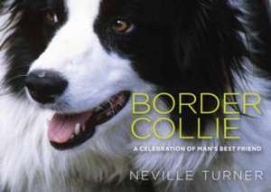 Border Collie de Neville Turner