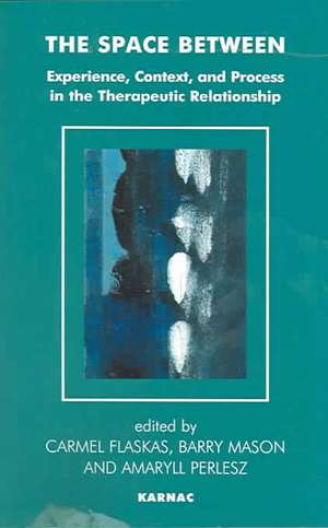 The Space Between: Experience, Context, and Process in the Therapeutic Relationship de Carmel Flaskas