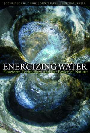 Energizing Water de Jochen Schwuchow