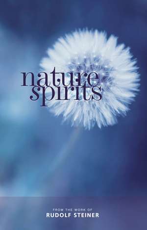 Nature Spirits de Rudolf Steiner