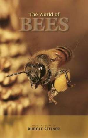 The World of Bees de Rudolf Steiner