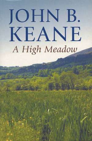 High Meadow de John B. Keane