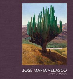 Jose Maria Velasco: A View of Mexico de Dexter Dalwood