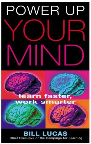 Power Up Your Mind: Learn Faster, Work Smarter de Bill Lucas