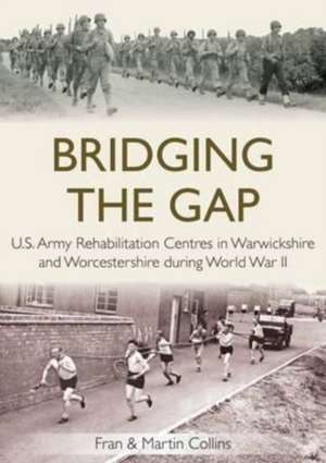 Bridging the Gap de Fran Collins