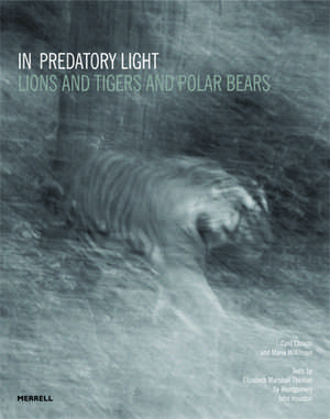 In Predatory Light: Lions and Tigers and Polar Bears de Cyril Christo