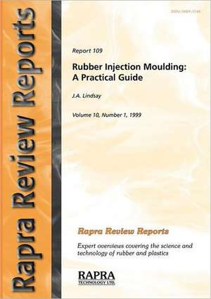 Rubber Injection Moulding - A Practical Guide de John A. Lindsay