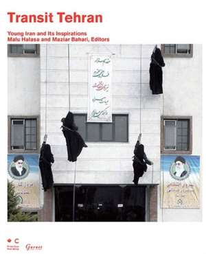 Transit Tehran: Young Iran and Its Inspirations de Malu Halasa