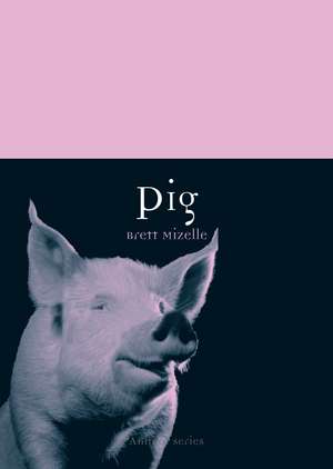 Pig de Brett Mizelle