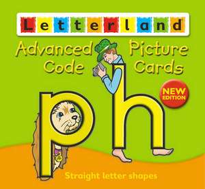 Picture Code Cards Advanced de Lyn Wendon