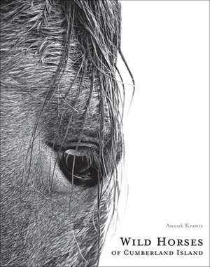 Wild Horses of Cumberland Island de Anouk Masson Krantz