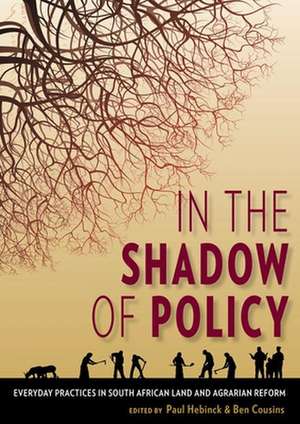 In the Shadow of Policy de Paul Hebinck