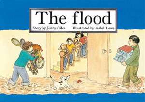 The Flood PM Set 3 Green Level 14 de Jenny Giles