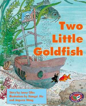 Two Little Goldfish PM Level 16 Set C Orange de Jenny Giles