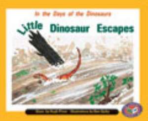 In the Days of the Dinosaurs Little Dinosaur Escapes. PM Set B Turquoise de Nelson Australia