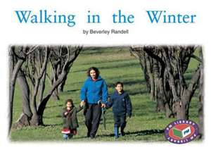 Walking in the Winter PM Non Fiction Level 14&15 Time and Season Green de Beverley Randell