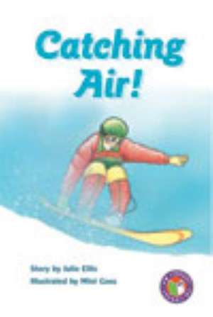 Catching Air PM Chapter Books Level 30 Set B Sapphire de Julie Ellis