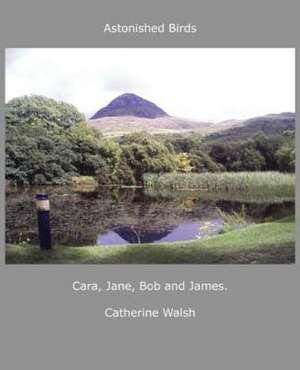 Astonished Birds Cara, Jane, Bob and James. de Catherine Walsh