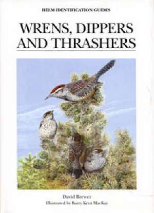 Wrens, Dippers and Thrashers de David Brewer