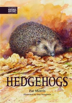 Hedgehogs de Pat Morris