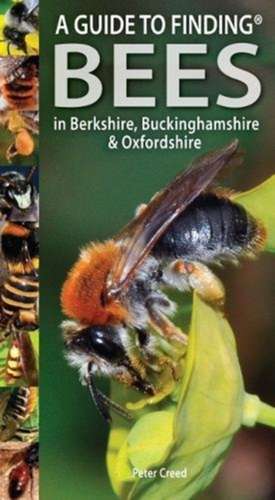 Guide to Finding Bees in Berkshire, Buckinghamshire and Oxfordshire de PETER CREED