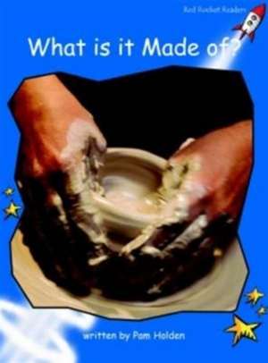 What is it Made Of? de Pam Holden