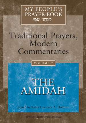 My People's Prayer Book: The Amidah de Marcia Falk