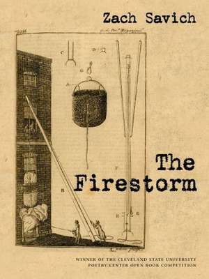 The Firestorm de Zach Savich