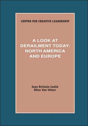 A Look at Derailment Today de Jean Brittain Leslie