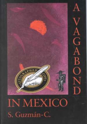 A Vagabond in Mexico: A Roman Catholic Critique