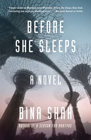 Before She Sleeps de Bina Shah