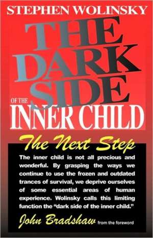 The Dark Side of the Inner Child de Stephen Wolinsky