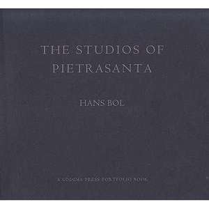 Studios of Pietrastanta de Hans Bol