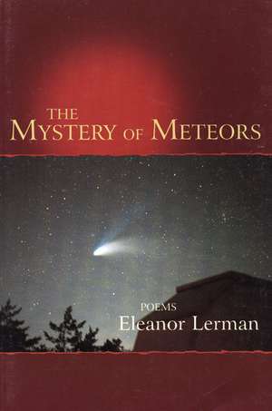 The Mystery of Meteors: Poems de Eleanor Lerman