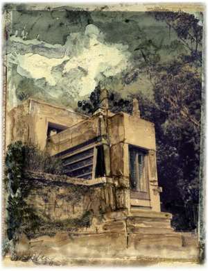 Frank Lloyd Wright: The Romantic Spirit de Carol Bishop