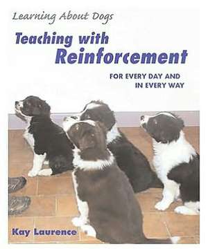 Teaching with Reinforcement: For Every Day and in Every Way de Kay Laurence