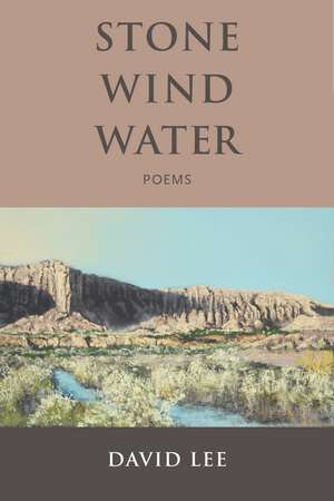 Stone Wind Water: Poems de David Lee