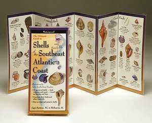 Shells and Beach Life of the Southeastern Atlantic Coast de Jackie Leatherbury Douglass