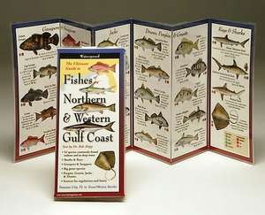 Fishes of the North & Western Gulf Coast de Robert Shipp