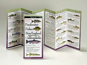 Freshwater Fishes of Northeast de Robert Werner