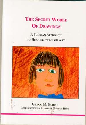 The Secret World of Drawings de Gregg M. Furth