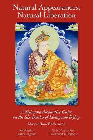 Natural Appearances, Natural Liberation de Shek-Wing Tam