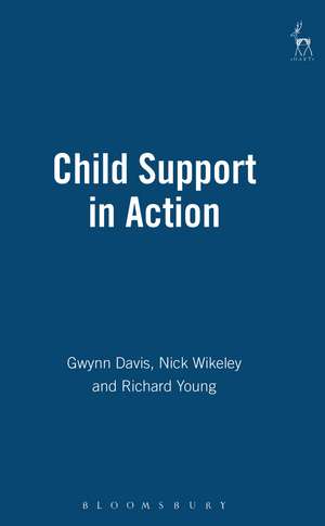 Child Support in Action de Gwynn Davis